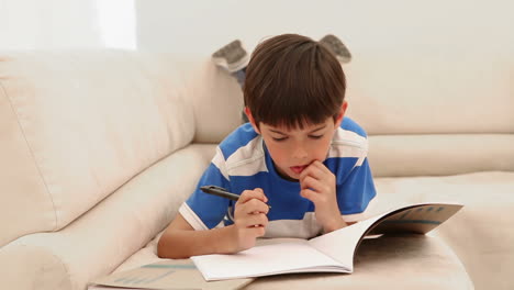 boy writing in a magazine