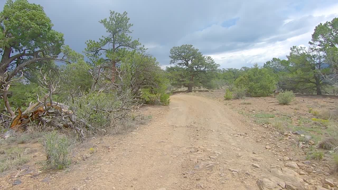 pov conduciendo en un vehículo todo terreno en un camino sin pavimentar montaña arriba en colorado