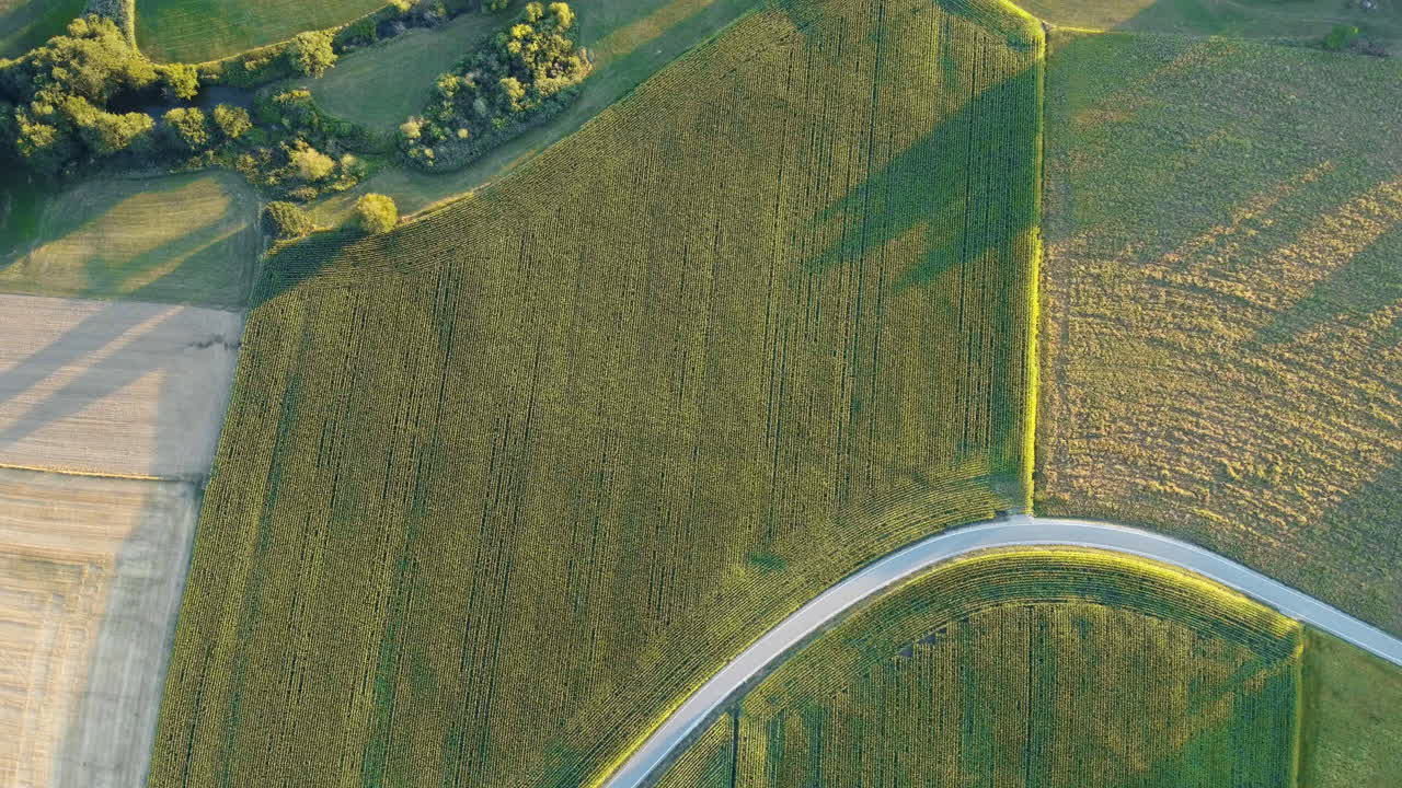 drone se levanta de un campo verde exuberante, revelando vastos paisajes con parches de tierra marrón lista para sembrar, casas de campo encantadoras, y la puesta de sol en el horizonte
