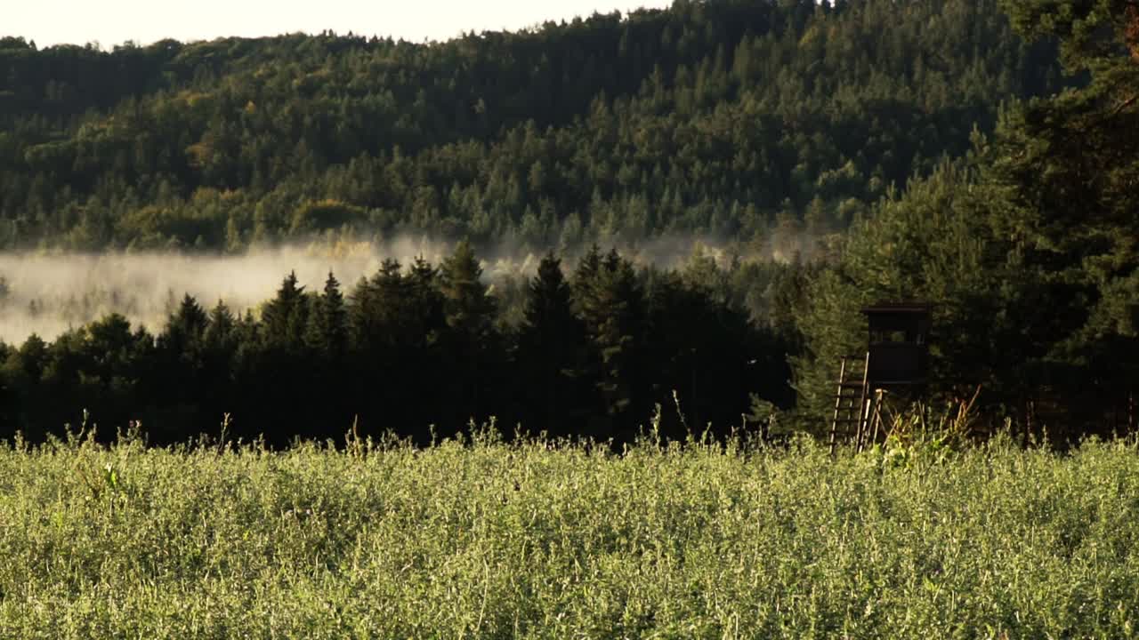 Panorama shot of fog above the trees and fields in Germany