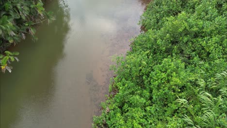 Following-a-river-into-the-sea-of-Costa-Rica