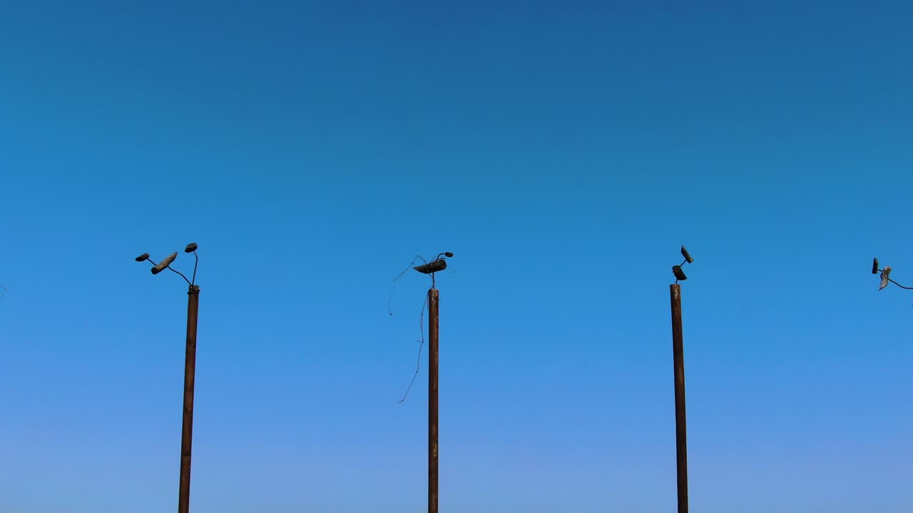 bird-shaped sculptures in the blue sky