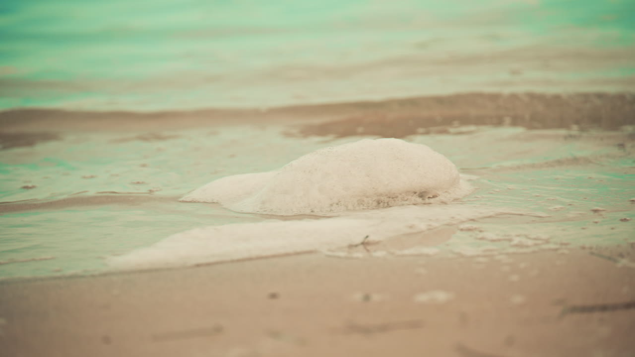 Soft ocean waves gently wash over a sandy beach with a small mound of white sea foam sits on the wet sand, with ripples and bubbles forming around it