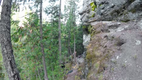 Rock-climber-climbing-a-cliff-in-the-forest-4k