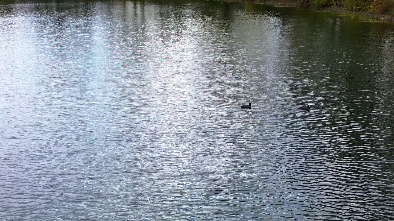 드론으로 촬영된 오턴 호수 해안선 4k 영상