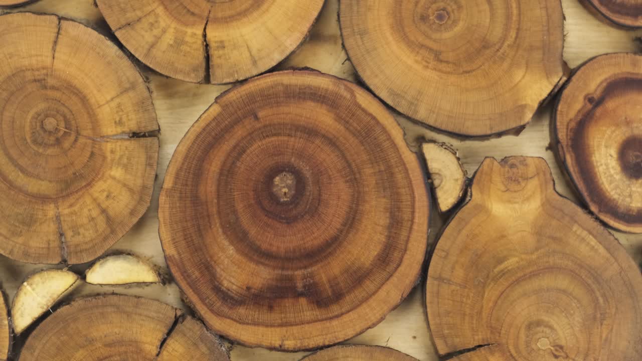 cortes de árboles naturales sólidos de madera redonda sin pintar de diferentes tamaños, textura de madera, panel decorativo