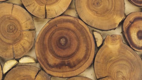 round wooden unpainted solid natural tree cuts of different sizes. wooden texture. decorative panel