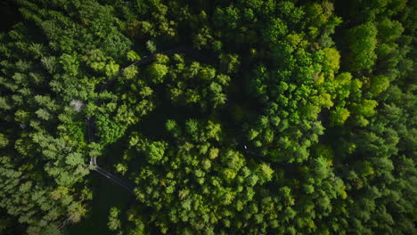 Beautiful-aerial-view-of-treetop-walkway-path-located-in-Anyksciai,-Lithuania,-eastern-Europe