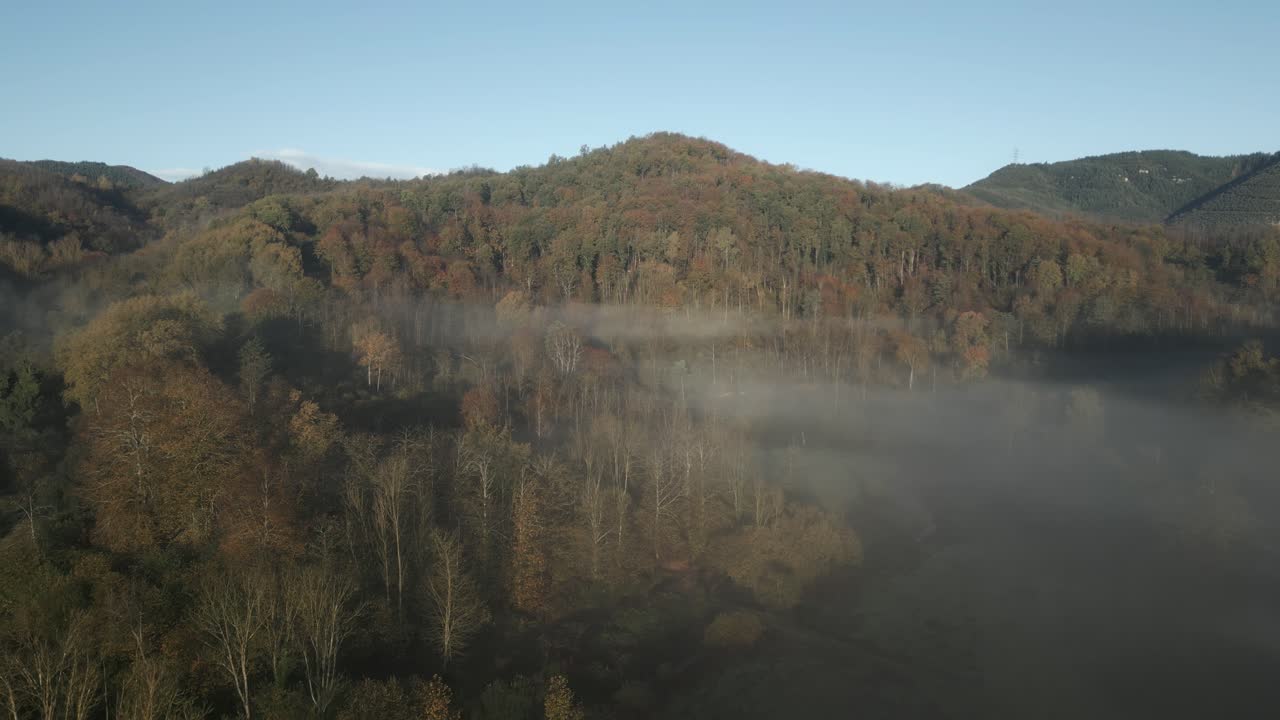 Low hanging fog enveloping vibrant autumn forest landscape in catalonian mountain valley, revealing golden foliage and misty atmospheric layers during early morning light