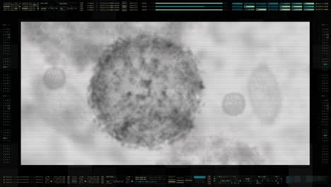 advance head up display of electron microscope scanning airborne virus outbreak showing the anatomy of the virus in close up details