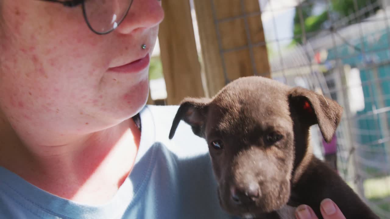 Dog in a shelter with volunteer