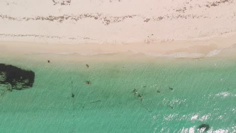 Top-down-ascending-footage-of-clear-transparent-sea-water-washing-sand-beach-in-tropical-travel-destination