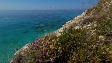 seaside background with violet wild flowers on cliffs over blue turquoise mediterranean sea in summer, colorful seascape