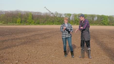 farmers planting trees in a field