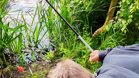 4k 60fps young boy is putting sweetcorn on hook fishing in pond in denmark - handheld dolly shot