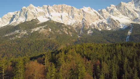 aerial view rising above alpine woodland trees to view of majestic snowy zugspitze sunlit mountains