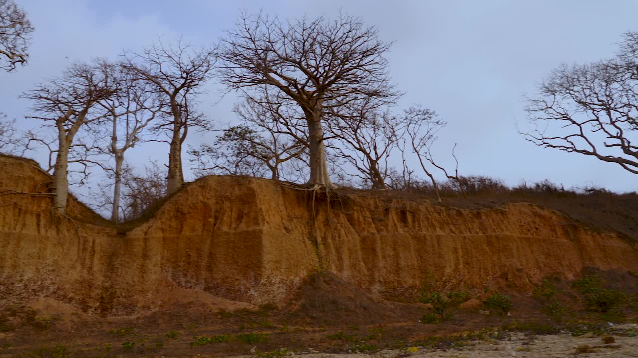 hermosa vista cinematográfica de la playa de un acantilado de roca