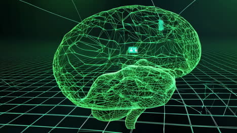 3d visualization of a human brain with medical data overlay