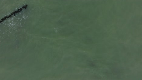 aerial birdseye view of an old wooden pier at the baltic sea coastline, overcast winter day, white sand beach, wooden poles, waves hitting shore, wide drone dolly shot moving left