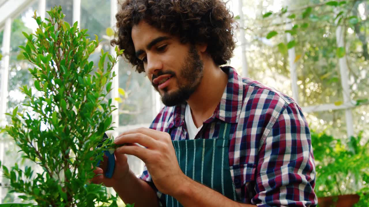 Man pruning a plant with pruning shears