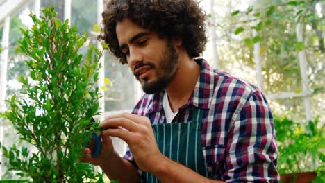 Man-pruning-a-plant-with-pruning-shears