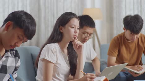 students studying together at home