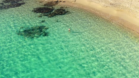 Toma-Aérea-De-Una-Joven-Bañándose-Sola-En-Aguas-Turquesas-Transparentes-En-La-Hermosa-Playa-De-Tuerredda-En-El-Sur-De-Cerdeña,-Italia-En-Un-Día-Soleado