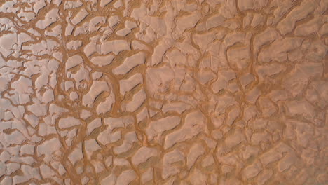 top-down aerial drone shot of a beach during low tide