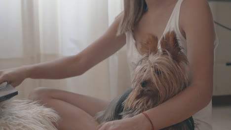 Young-Woman-With-Her-Little-Dog-And-Using-A-Laptop-At-Home