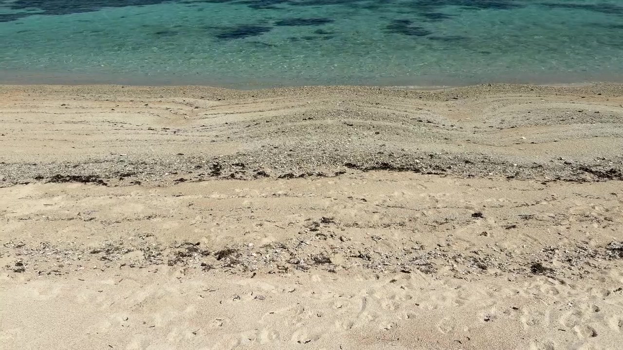 Klar turkisblåt havvand skvulper blidt på en sandet tropisk strand