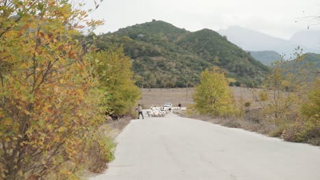 vjose river in albania during the autumn season