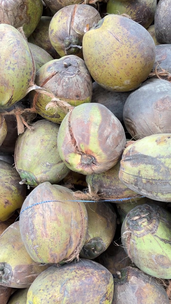Primo piano di noci di cocco fresche verdi e marroni ammassate