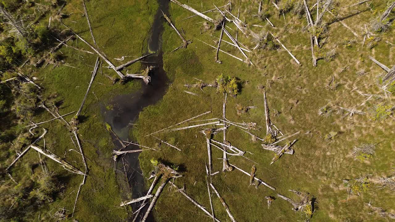 vista de arriba hacia abajo sobre la deforestación y el arroyo en la isla de moresby con una vista aérea del pedestal del dron