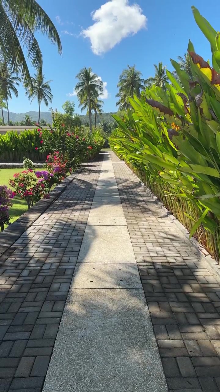 Sunny Tropical Garden Pathway with Palm Trees and Colorful Flowers