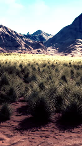 desert landscape with grass and mountains