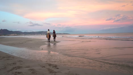 couple with beautiful brown horses on the beach walking along the sand by the sea, a beautiful scare with multiple colors and pink tones in the background of the sequence