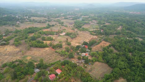 small village in greenery forest bird eye view