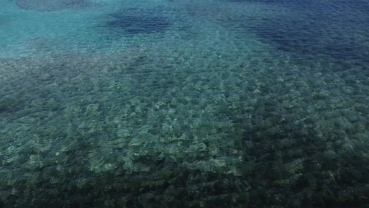 바하마의 청록색 바다 위로 드론 비행