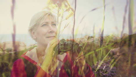 smiling caucasian senior woman using binoculars in countryside, over moving grasses and sunlight