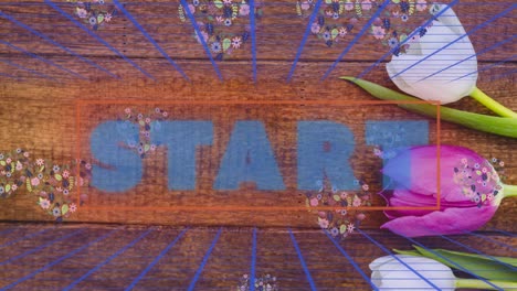 animation of start in digital abstract space with tulips and flower hearts