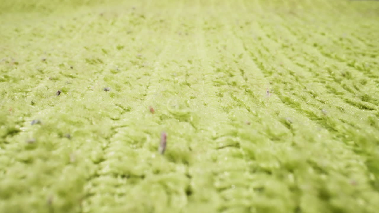 hoja de tela suave de color verde claro con costuras como fondo