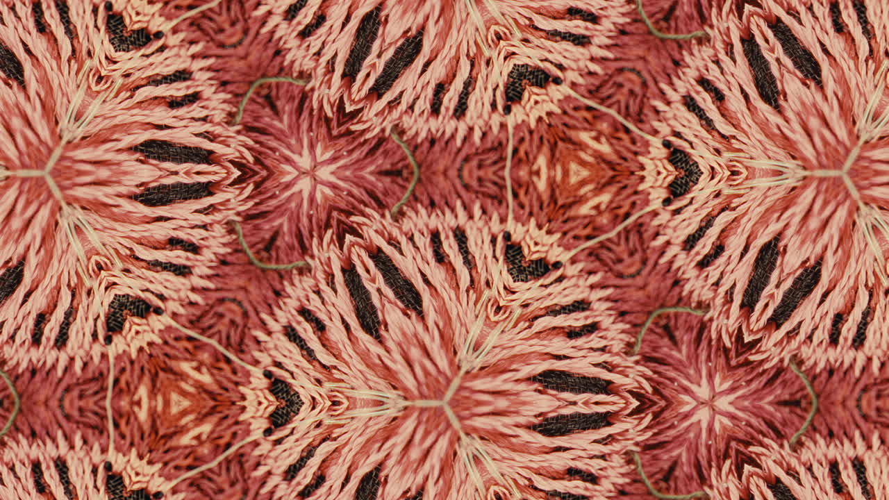 patrón floral abstracto