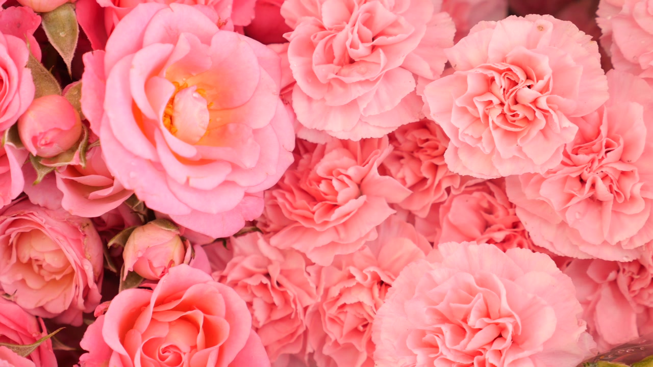Close-up of Fresh Pink Roses and Carnations with Water Droplets