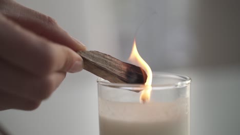 person lighting up lignum vitae or wood of life on candle,close up