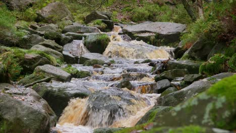 Ein-Ruhiger-Winterwald-Mit-Einem-Langsamen-Bach,-Goldenen-Eichen-Und-Abgefallenen-Blättern-Bietet-Eine-Friedliche-Und-Entspannende-Szene