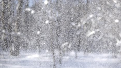 winter landscape during snowfall. winter christmas abstract background on super slow motion.