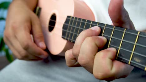 Man-mid-30-and-with-bead-is-playing-and-whistling-with-his-pink-ukulele-next-to-a-big-window-and-close-to-a-green-plant