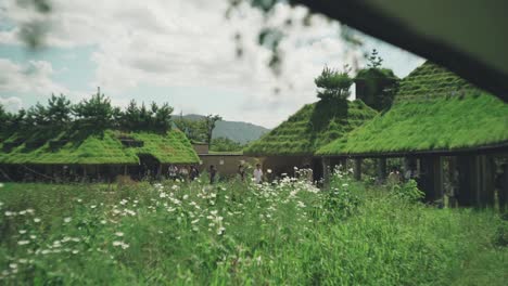 tourists walking around the lush green roof building in la collina at the club harie j'oublie le temps in shiga, japan