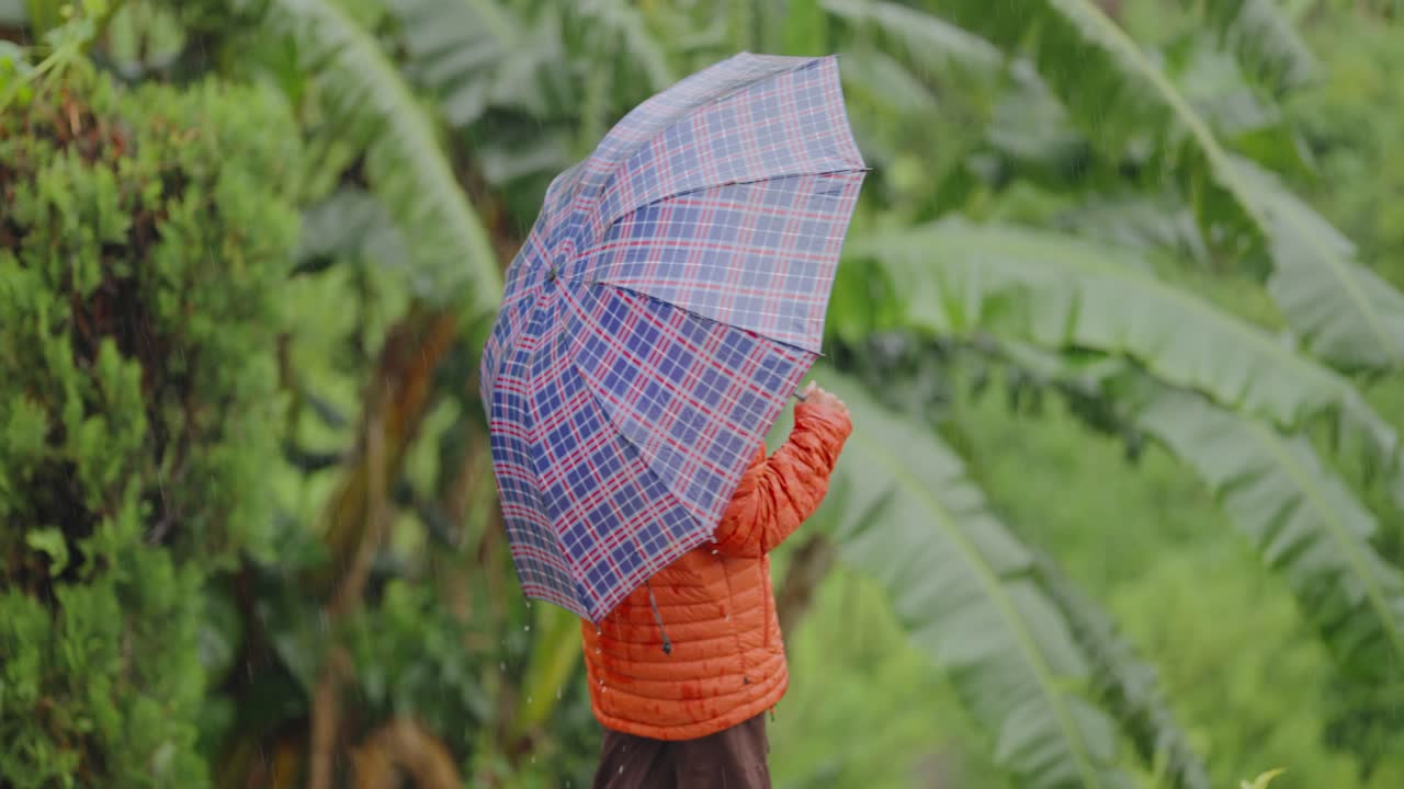 Smiling Indian girl walking with umbrella along a village trail as rain gently falls, 4k video