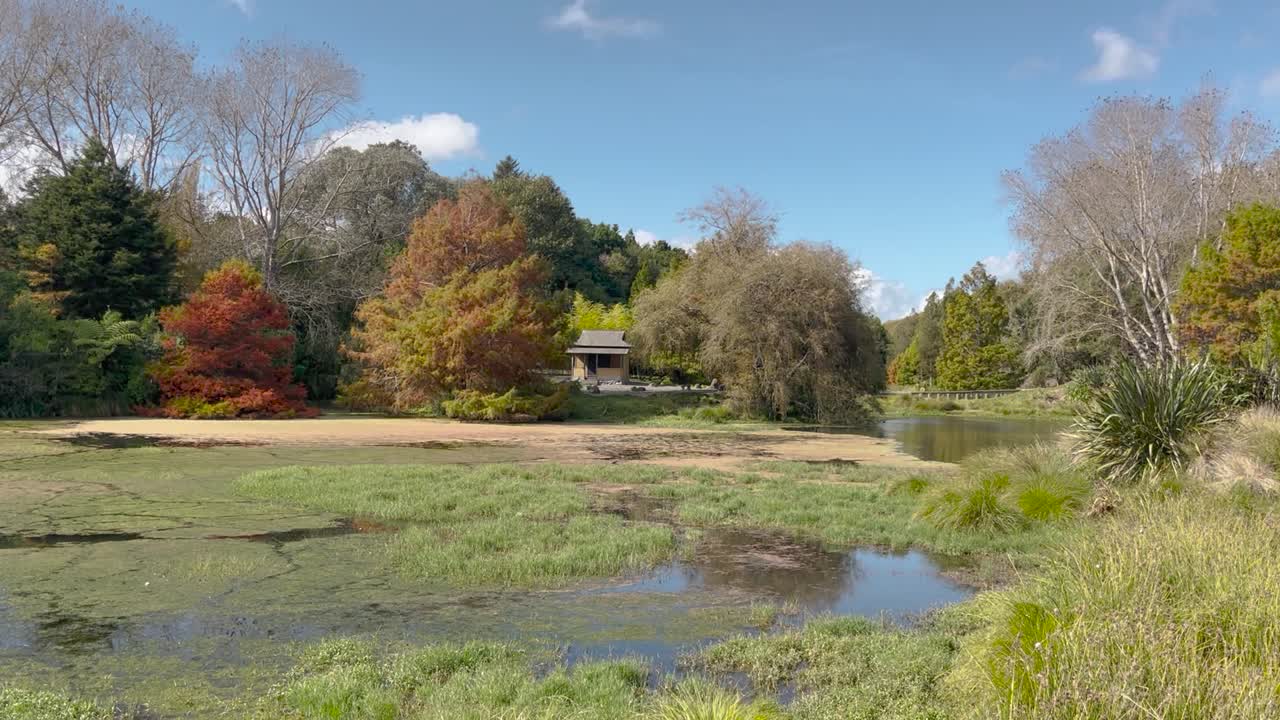 escena rural con estanques rodeados de árboles de otoño en nueva zelanda